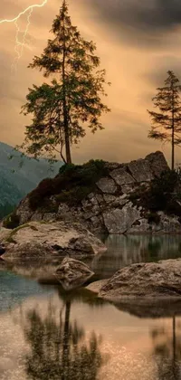 This live wallpaper depicts a beautiful forest scene with a tree on top of a rock beside a peaceful body of water