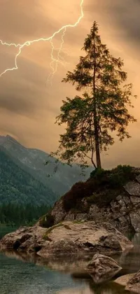 Get a stunning live wallpaper for your phone with a fierce tree standing on a rock next to a dark lake