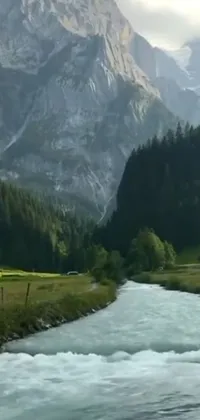 This phone live wallpaper features a serene landscape with a river flowing through a lush green valley in Switzerland