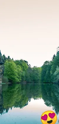 This calming phone live wallpaper features a yellow frisbee floating on a serene lake surrounded by detailed trees and cliffs