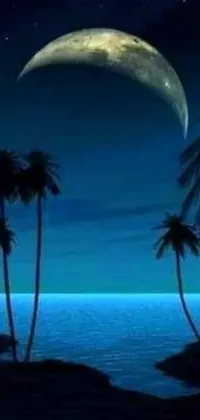 This phone live wallpaper features a captivating night scene with palm trees, the moon, and a blue sea