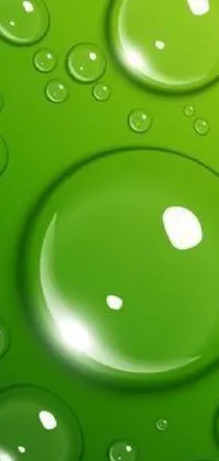 Experience the relaxing beauty of nature with a stunning live phone wallpaper featuring ultra-realistic water droplets on a green background, made using vector art techniques