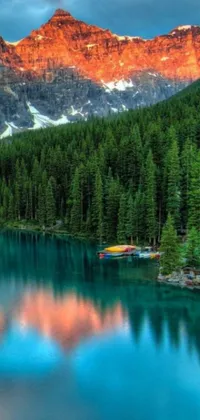 Transform your phone screen into a breathtakingly beautiful scene of Canada's lush forest with this Live Wallpaper