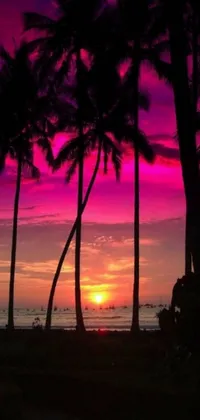 This stunning live wallpaper depicts a breathtaking sunset scene with tall palm trees swaying gently in the foreground