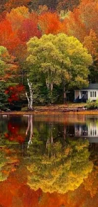 This phone live wallpaper showcases a serene house reflected in a tranquil lake in the midst of an autumn forest
