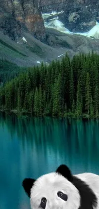This live wallpaper depicts a serene teal lake surrounded by mountains and lush forests in Banff National Park