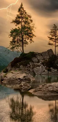 This phone live wallpaper showcases a breathtaking landscape of a tree perched on a rock by a tranquil body of water