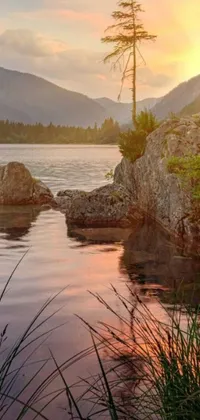 This stunning live wallpaper features a mesmerizing lake scene with two rocks, towering mountains, lush trees, and crystal-clear water