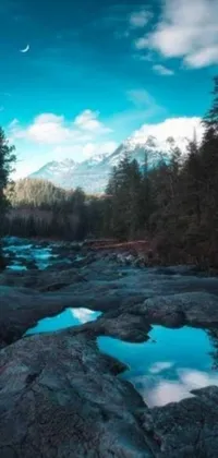 Enjoy nature's tranquil beauty with this stunning live wallpaper for your phone