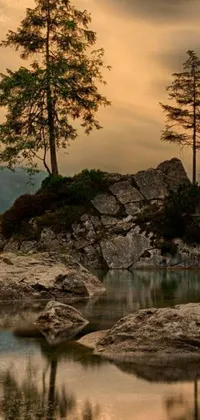 This mesmerizing live wallpaper for your phone showcases a magnificent tree perched atop a rock near a peaceful body of water, set amidst a forest and mountainside