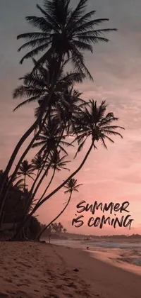 This phone live wallpaper features a stunning image of two swaying palm trees on a sandy Sri Lankan beach