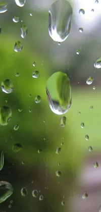 This stunning phone live wallpaper showcases a captivating close-up view of water droplets on a window captured with incredible realism