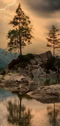This phone live wallpaper features a serene forest scene with a tree on a rock next to a lake at sunset