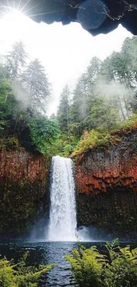 This phone live wallpaper showcases a stunning waterfall in a green forest, with lava waterfalls flowing into a clear pool