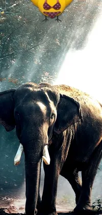 This phone live wallpaper displays a digital rendering of an elephant standing on dirt, lit by rays of sunlight in an Indian forest setting