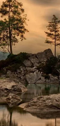 This live wallpaper features a stunning image of a tree on a rock in front of a body of water surrounded by the forest
