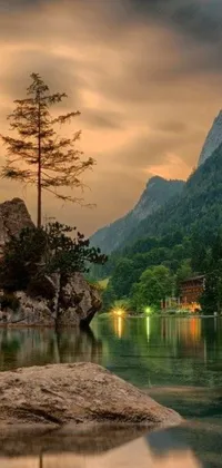 Transform your phone screen into a picturesque landscape with this stunning live wallpaper featuring a tree atop a rock in the middle of a serene lake