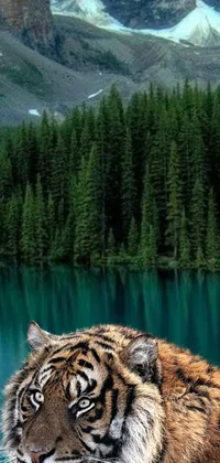 This phone live wallpaper features a close-up of a tiger standing by a body of water, set against a background of lush forest and mountains