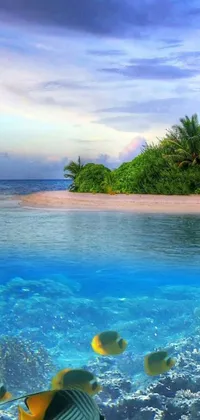 Transform your phone screen into a serene and idyllic tropical paradise with this blissful live wallpaper