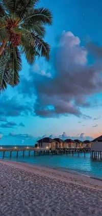 This stunning live wallpaper features a serene beach setting complete with swaying palm trees on a sandy shore, rustic houses on stilts in the distance and a mystical evening sky above