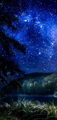 This phone live wallpaper depicts a tranquil and enchanting night sky, brimming with countless stars