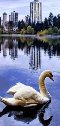 This phone live wallpaper showcases a serene picture of a beautiful white swan floating on top of a calm lake surrounded by falling autumn leaves