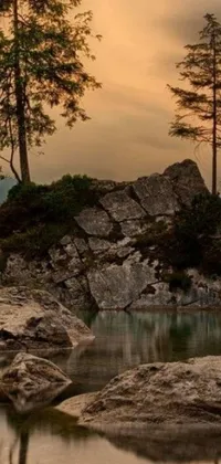 This stunning phone live wallpaper showcases a beautiful natural landscape, featuring a calm water body surrounded by rocks and trees in a peaceful countryside setting