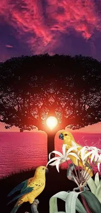 Enjoy the breathtaking beauty of nature with this stunning phone live wallpaper! Featuring a couple of birds perched on a tree at sunset, this album cover inspired artwork draws inspiration from tropical lighting, vibrant colors and intricate details