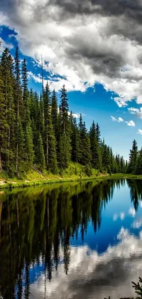 This live wallpaper showcases a stunning Colorado scenery, featuring a beautiful body of water surrounded by tall trees in an Evergreen forest