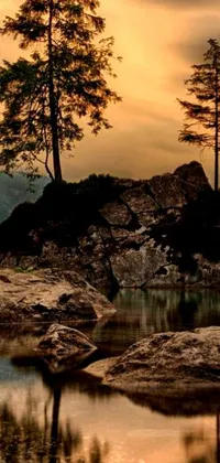 This phone live wallpaper depicts a picturesque scene of two trees perched atop a rock beside a serene body of water