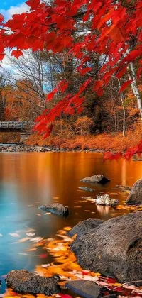 This stunning live wallpaper showcases a beautiful bridge over a serene body of water surrounded by trees adorned with luscious orange and brown leaves