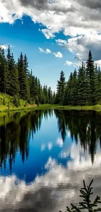 Experience the natural beauty of Colorado's water and trees with our stunning live phone wallpaper