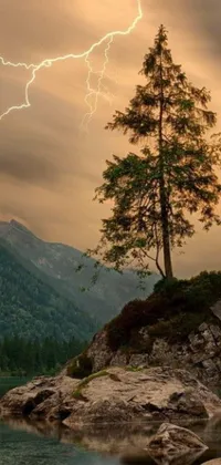 This live wallpaper for your phone features a magnificent tree perched atop a rock beside a serene lake