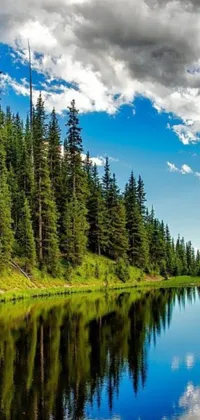 Transform your phone background with this captivating live wallpaper! Featuring a picturesque forest-themed landscape, this wallpaper includes a breathtaking view of a large body of water surrounded by lush, towering trees