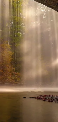 Get lost in the breathtaking beauty of a forest waterfall with this phone live wallpaper