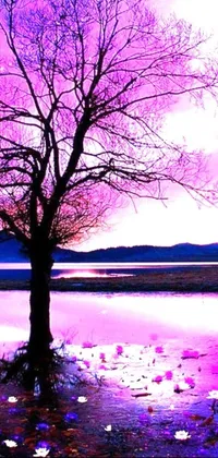 This phone live wallpaper features a picturesque tree beside a tranquil body of water, perfect for lovers of fantasy and romanticism