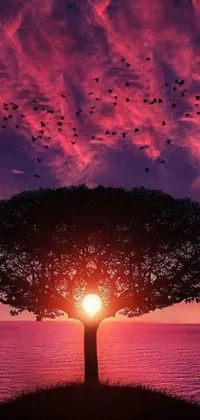 This stunning live wallpaper features a tall tree with birds flying around it against a sunset sky, set in warm shades of red and purple