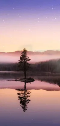 This phone live wallpaper depicts a serene body of water surrounded by trees and infused with a soft purple glow and light pink mist