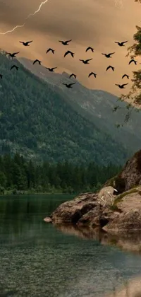 This phone live wallpaper features a flock of birds flying over a body of water set in a serene mountain forest landscape