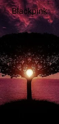 Enjoy a stunning digital art live wallpaper featuring a majestic tree with the sun setting behind it and a giant pink full moon rising in the sky
