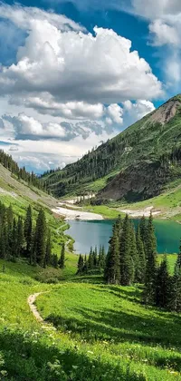 This stunning live wallpaper captures the tranquil beauty of a mountain lake nestled among lush trees in the Colorado mountains