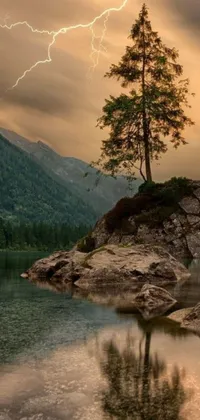 This phone wallpaper showcases a picturesque sight of a tree perched atop a rocky terrain beside a lagoon
