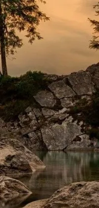 This stunning phone live wallpaper features a serene body of water surrounded by boulders, rocks and towering trees, set against the picturesque backdrop of the dolomites