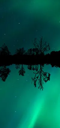 This stunning live wallpaper captures the beauty of the Northern Lights reflecting on water