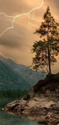 This live wallpaper features a majestic tree atop a rocky mountain overlooking a serene lake