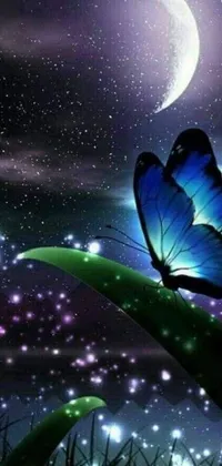 Get this amazing blue butterfly phone live wallpaper! Digital art at its finest, this wallpaper showcases a beautiful and detailed blue butterfly perched on a green leaf against a stunning night sky background