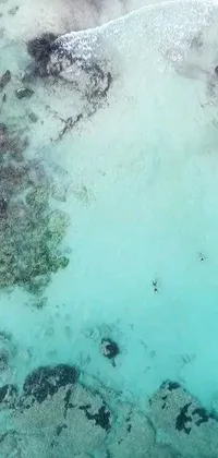 Nature Water Reef Live Wallpaper