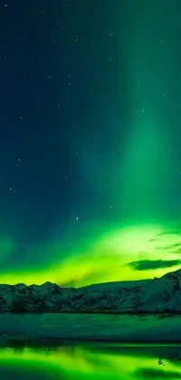 Experience the beauty of the aurora borealis in this stunning phone live wallpaper