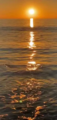 This phone live wallpaper captures a serene sunset over a shimmering body of water