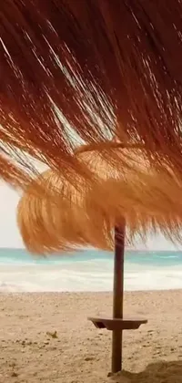 This phone live wallpaper showcases a tranquil view of two beach umbrellas resting on golden sand